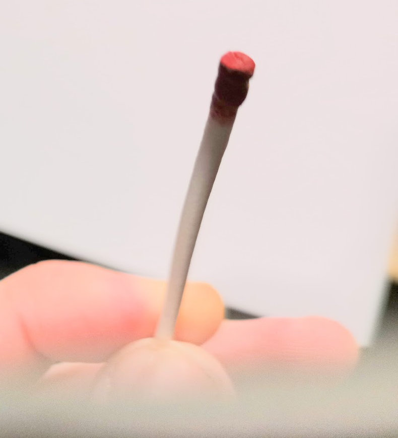 Cotton-swab